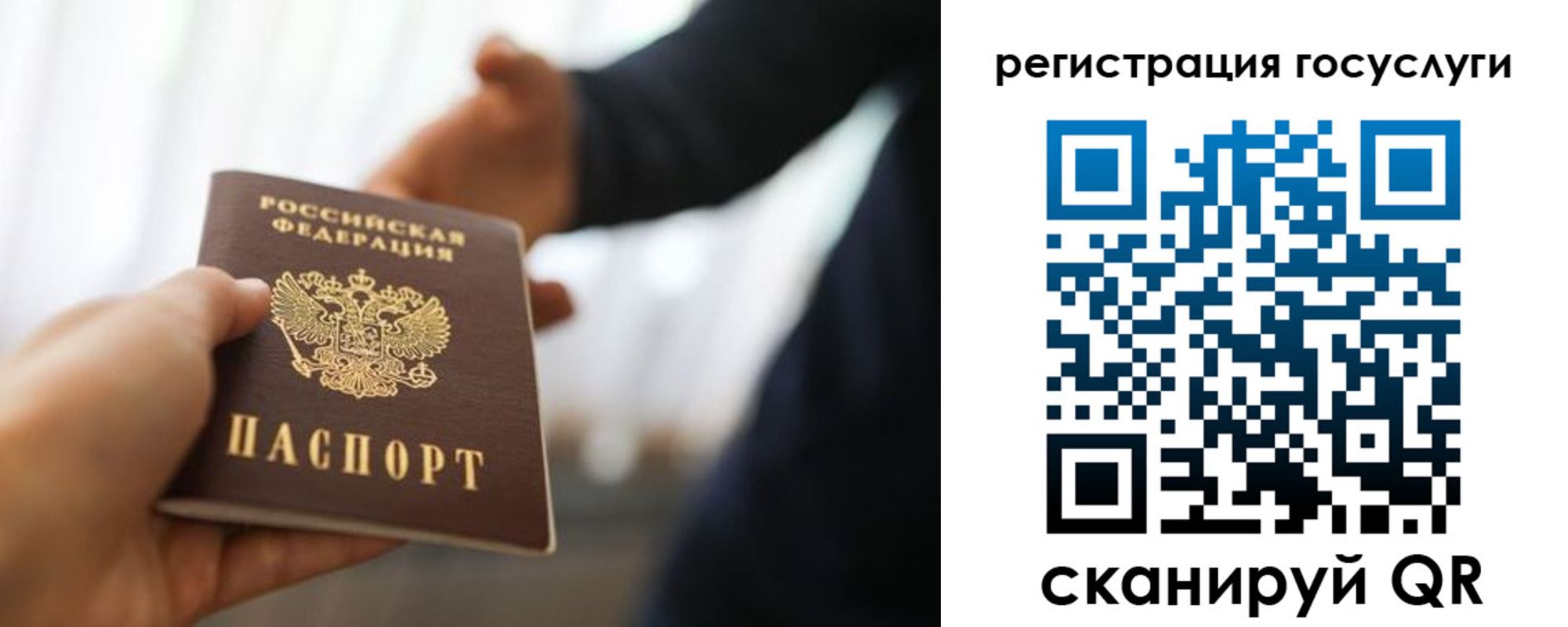 прописка в Волгодонске